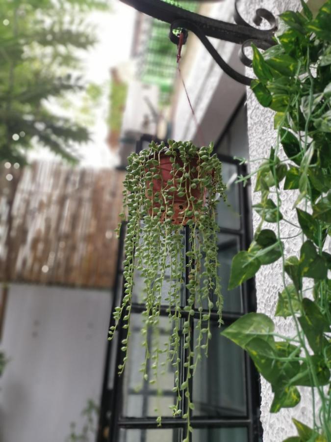 林人酒店 Jingan المظهر الخارجي الصورة